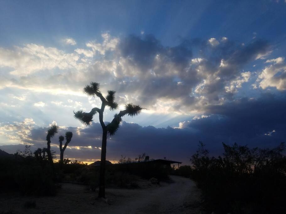 Steph'S Panorama Paradise-Nat'L Park Minutes Away Joshua Tree Εξωτερικό φωτογραφία