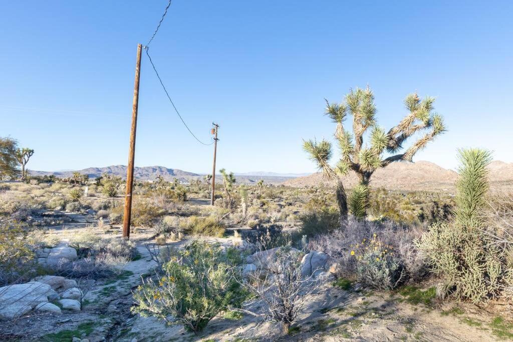 Steph'S Panorama Paradise-Nat'L Park Minutes Away Joshua Tree Εξωτερικό φωτογραφία