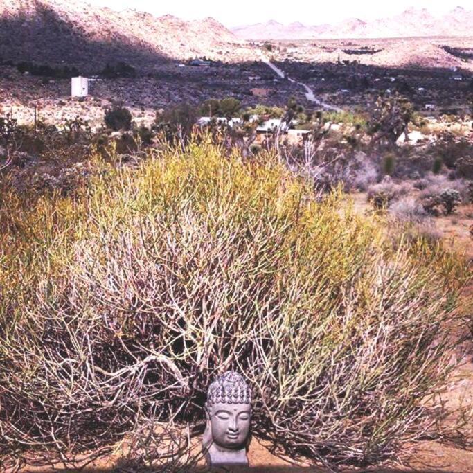 Steph'S Panorama Paradise-Nat'L Park Minutes Away Joshua Tree Εξωτερικό φωτογραφία