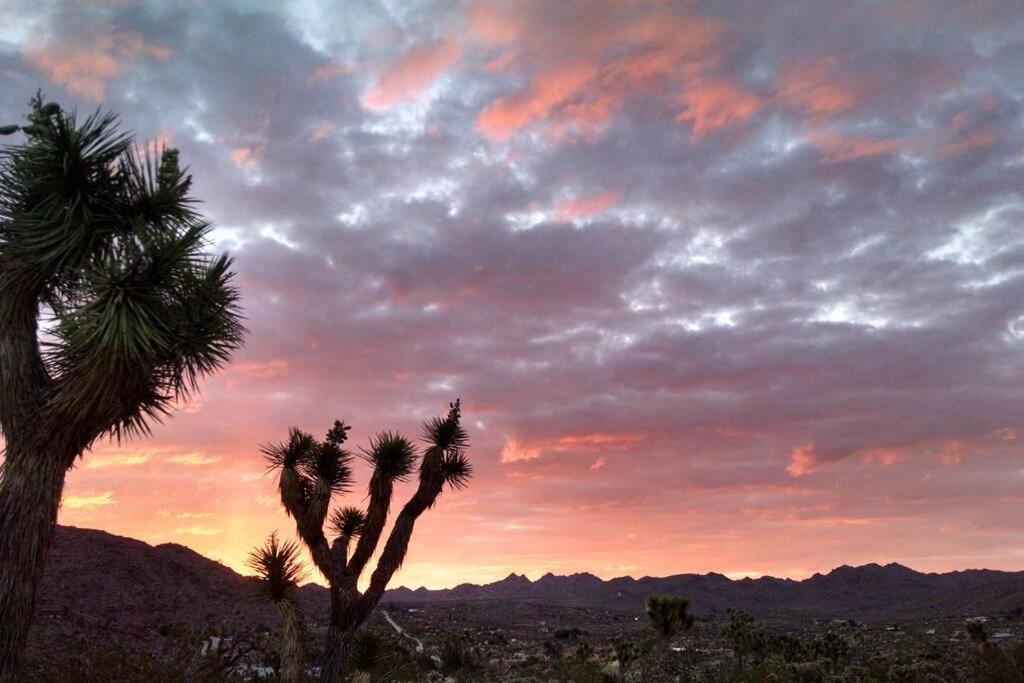Steph'S Panorama Paradise-Nat'L Park Minutes Away Joshua Tree Εξωτερικό φωτογραφία