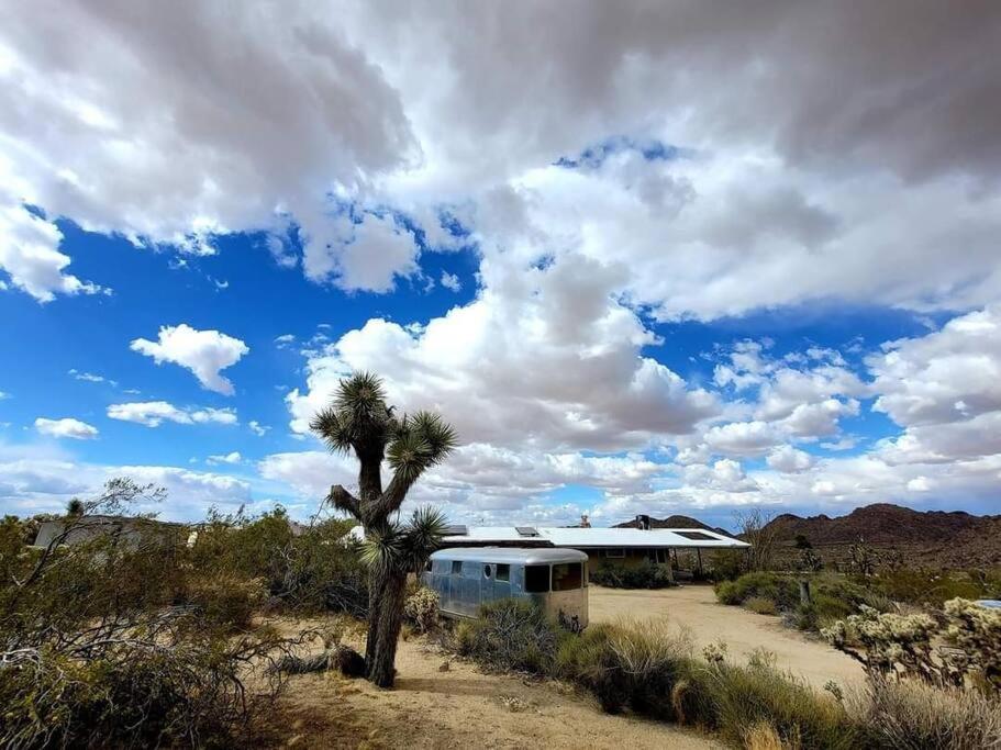 Steph'S Panorama Paradise-Nat'L Park Minutes Away Joshua Tree Εξωτερικό φωτογραφία
